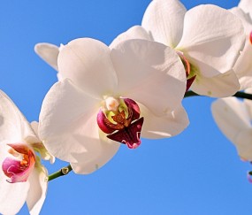 聊城正规助孕捐卵机构，附正规捐卵机构报名表！